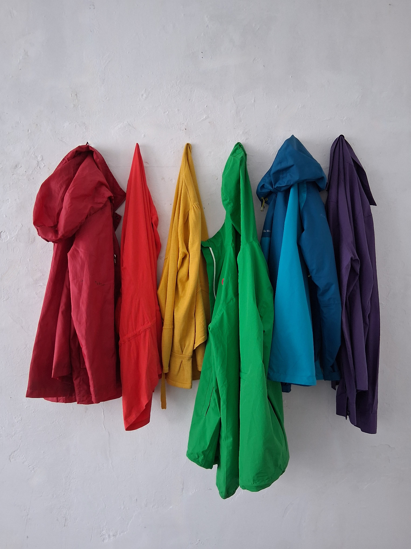 ‘PACE 20254’ at Stichting Pim De Rudder, Assenede (B)